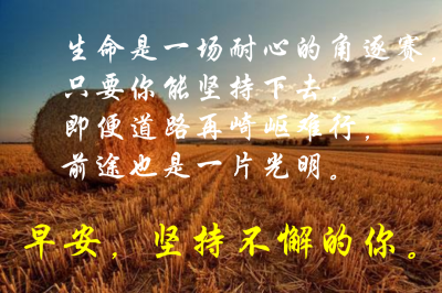 包含瑞士队表现神勇，前途一片光明的词条
