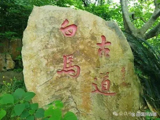 乐鱼体育课程-江苏铁马迎战山东浪潮，谁将笑到最后的简单介绍